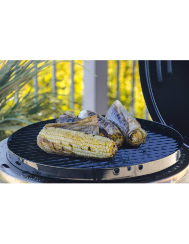 Ahumador Asador Parrilla Char-Broil The Big Easy 3-en-1 Gas