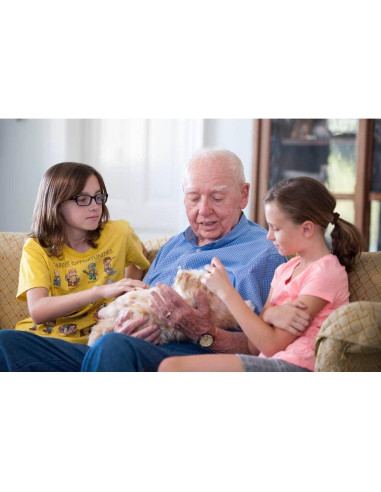 Gato Animatrónico Joy For All - Compañero Terapéutico