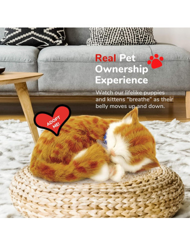 Gato de Peluche Interactivo Perfect Petzzz Naranja 27x13cm