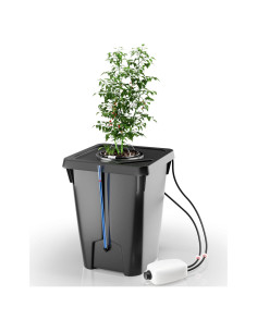Sistema Hidropónico DWC YIFOR 7 Galones con Goteo Superior