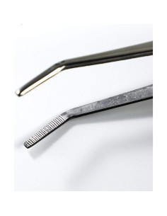 Pinzas Curvadas Wazakura para Bonsai 210mm Acero Inoxidable 2