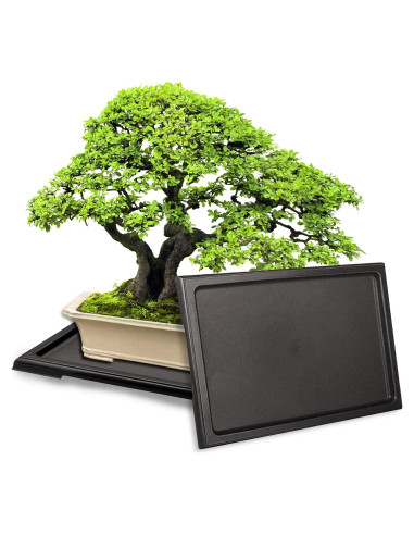 Bandejas de Humedad para Bonsai KEOHOLI 2 Piezas 29x21cm