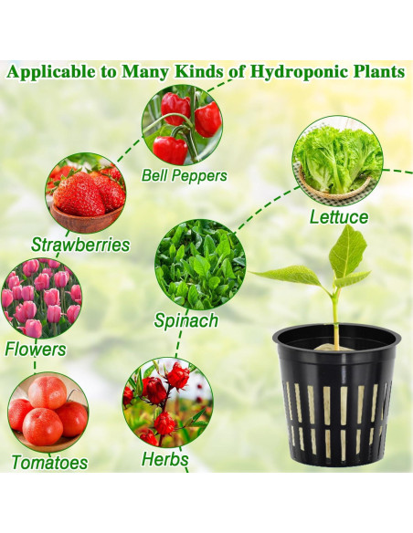 Halatool Kit Hidroponía 72 Cubos Lana Roca 3,05cm y 56 Tazas 5,08cm