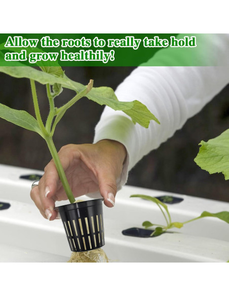 Halatool Kit Hidroponía 72 Cubos Lana Roca 3,05cm y 56 Tazas 5,08cm