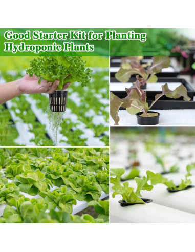 Halatool Kit Hidroponía 72 Cubos Lana Roca 3,05cm y 56 Tazas 5,08cm