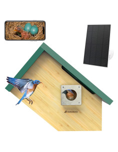 Casa para Aves Inteligente Birdkiss Verde HD 1080P Solar