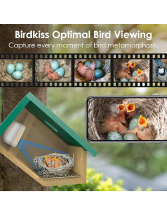 Casa para Aves Inteligente Birdkiss Verde HD 1080P Solar 2