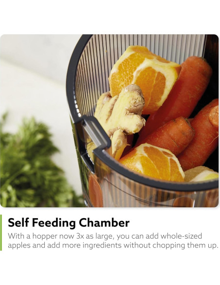 Exprimidor Lento Hurom H320 Verde Oscuro 500ml Auto-Alimentado