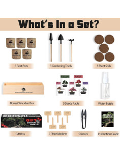 Kit de Jardín Bonsai Sproutix - 5 Semillas de Árboles 2