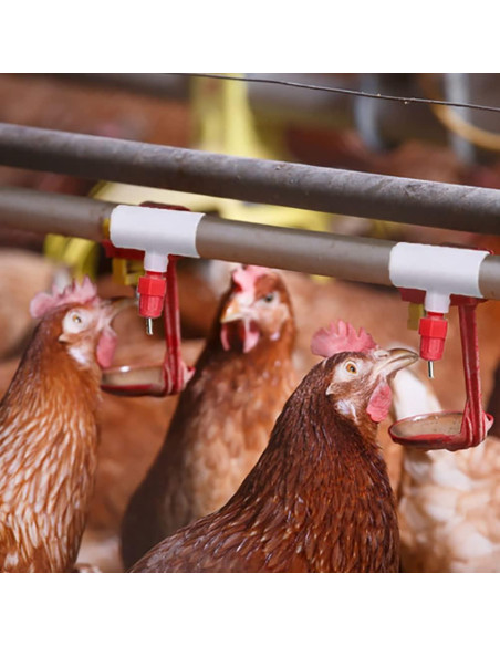 30 Accesorios Tee PVC Bebederos Pollo DredQcco 5cm