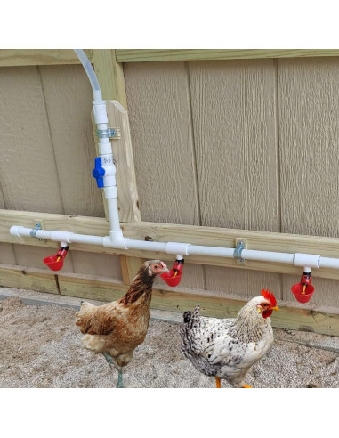 30 Accesorios Tee PVC Bebederos Pollo DredQcco 5cm