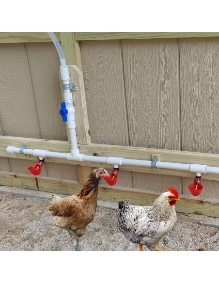 30 Accesorios Tee PVC Bebederos Pollo DredQcco 5cm