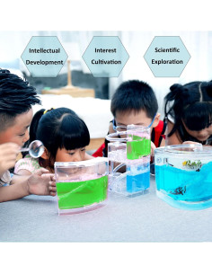 Granja de Hormigas EXBEPE Castillo de Gel 20cm para Niños 2