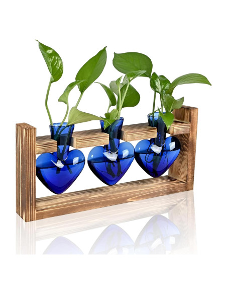 Terrario de Plantas MTsigns Corazón con Soporte de Madera