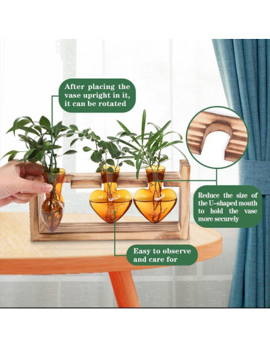 Terrario de Plantas MTsigns Corazón con Soporte de Madera