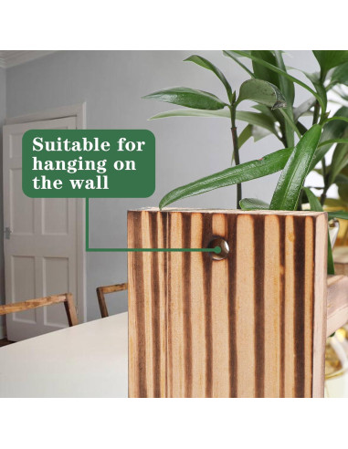 Terrario de Plantas MTsigns Corazón con Soporte de Madera