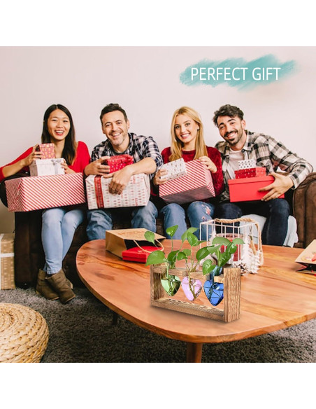 Terrario de Plantas MTsigns Corazón con Soporte de Madera