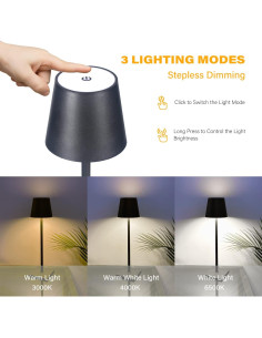 Lámpara de Mesa LED Recargable CHLORANTHUS 2 Paquetes 2