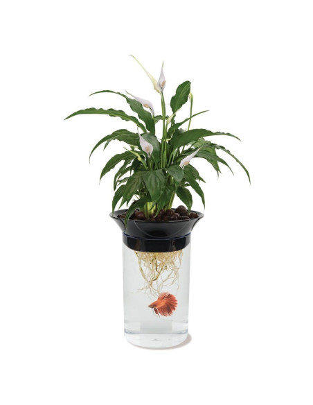 Acuario Acuapónico Penn-Plax APON1 0.5 Galones para Betta