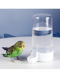 Dispensador de Agua Automático YJJKJ 400 ml para Aves 2