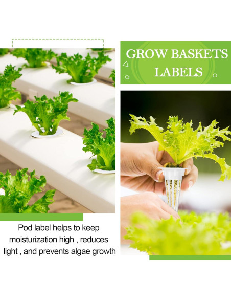 Cunhill Kit Hidropónico 100 Piezas Cestas y Etiquetas Blancas