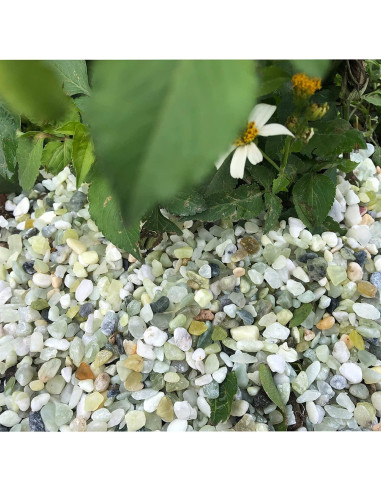 Arena Decorativa Jade 3,18 kg para Suculentas y Cactus