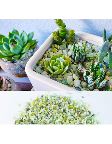 Arena Decorativa Jade 3,18 kg para Suculentas y Cactus