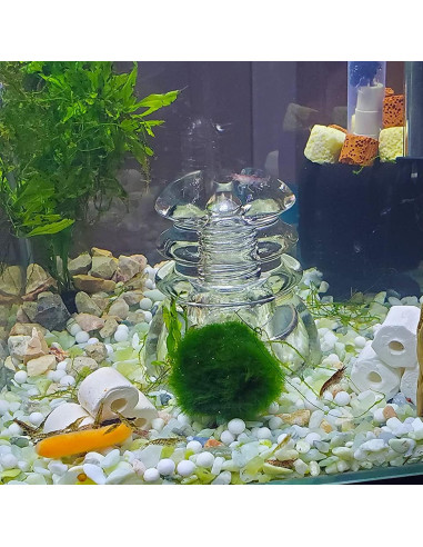 Arena Decorativa Jade 3,18 kg para Suculentas y Cactus