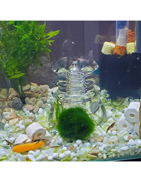 Arena Decorativa Jade 3,18 kg para Suculentas y Cactus