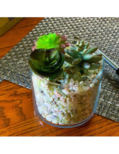 Arena Decorativa Jade 3,18 kg para Suculentas y Cactus