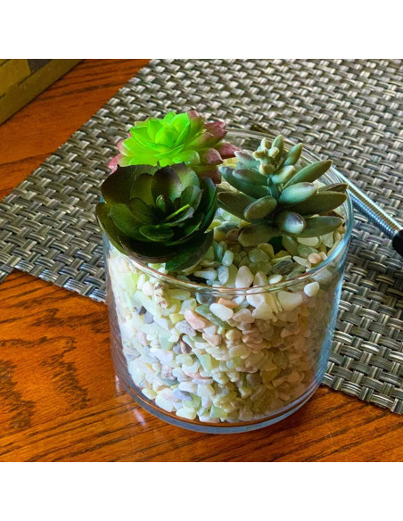 Arena Decorativa Jade 3,18 kg para Suculentas y Cactus