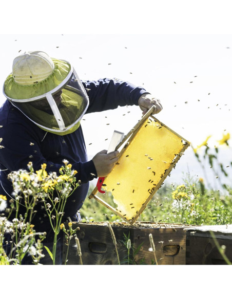 KINGLAKE J Hook de Acero para Colmena 26,67 cm Raspador