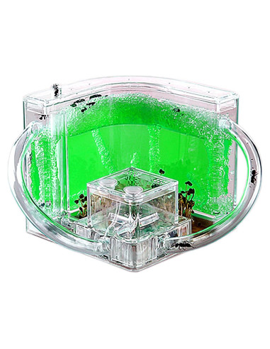 Granja de Hormigas EXBEPE Terrario Ecológico 20cm Verde