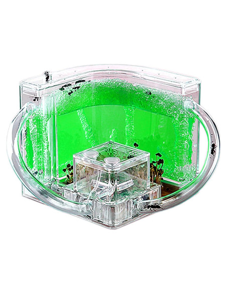 Granja de Hormigas EXBEPE Terrario Ecológico 20cm Verde