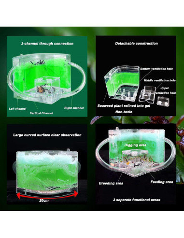 Granja de Hormigas EXBEPE Terrario Ecológico 20cm Verde
