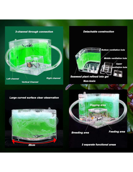 Granja de Hormigas EXBEPE Terrario Ecológico 20cm Verde