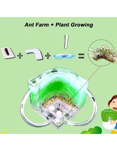 Granja de Hormigas EXBEPE Terrario Ecológico 20cm Verde