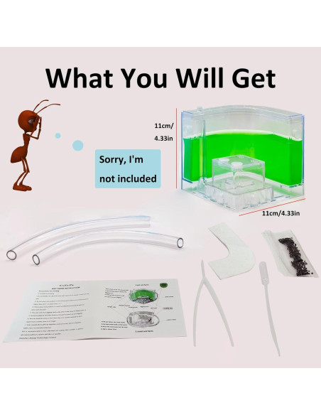 Granja de Hormigas EXBEPE Terrario Ecológico 20cm Verde