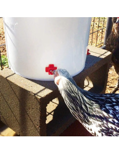 40 Picos de Agua Horizontal MEWTOGO para Pollos y Aves 2