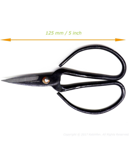 Kebinfen Kit de Herramientas para Podar Bonsai - Set de 3