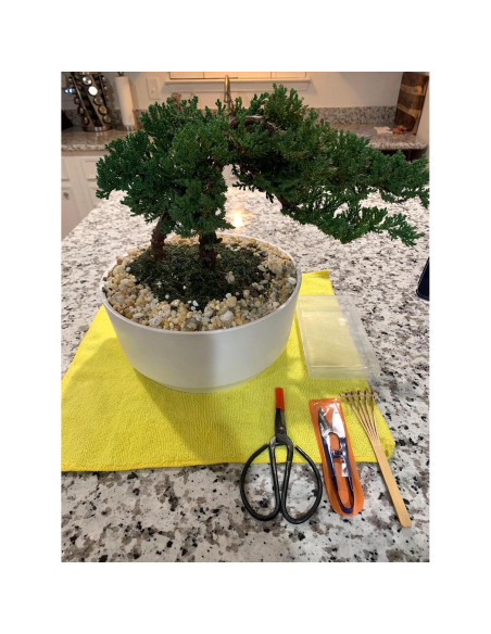 Kebinfen Kit de Herramientas para Podar Bonsai - Set de 3