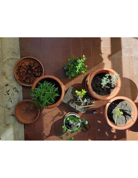 Kebinfen Kit de Herramientas para Podar Bonsai - Set de 3