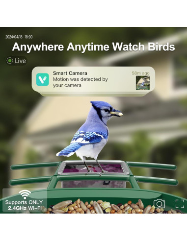 Comedero para Aves Onlyfly con Cámara Solar 2K y AI