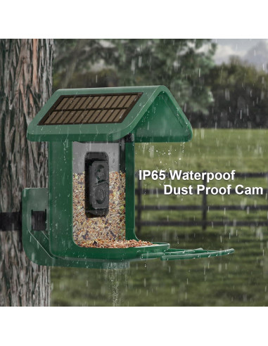 Comedero para Aves Onlyfly con Cámara Solar 2K y AI