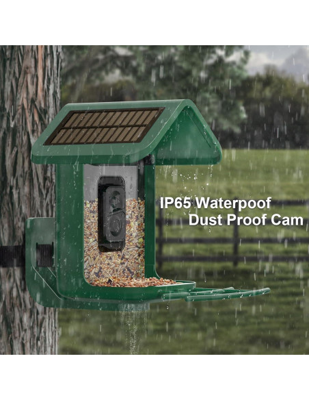 Comedero para Aves Onlyfly con Cámara Solar 2K y AI