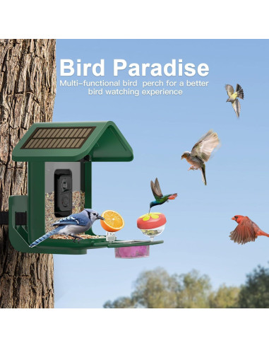 Comedero para Aves Onlyfly con Cámara Solar 2K y AI