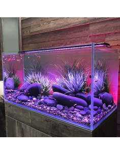 Kit Acuático LED Current USA 60-91 cm con Audio y Luz 2