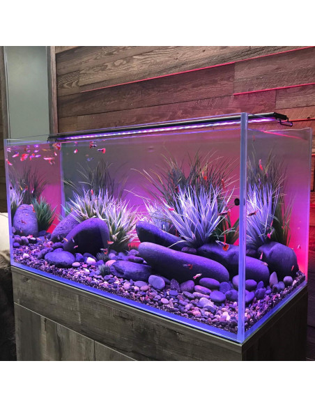 Kit Acuático LED Current USA 60-91 cm con Audio y Luz