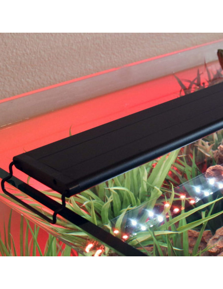 Kit Acuático LED Current USA 60-91 cm con Audio y Luz