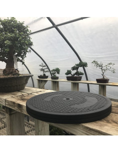 Torno de Bonsai Mini Poderoso BonsaiOutlet 31.75 cm 90.72 kg 2